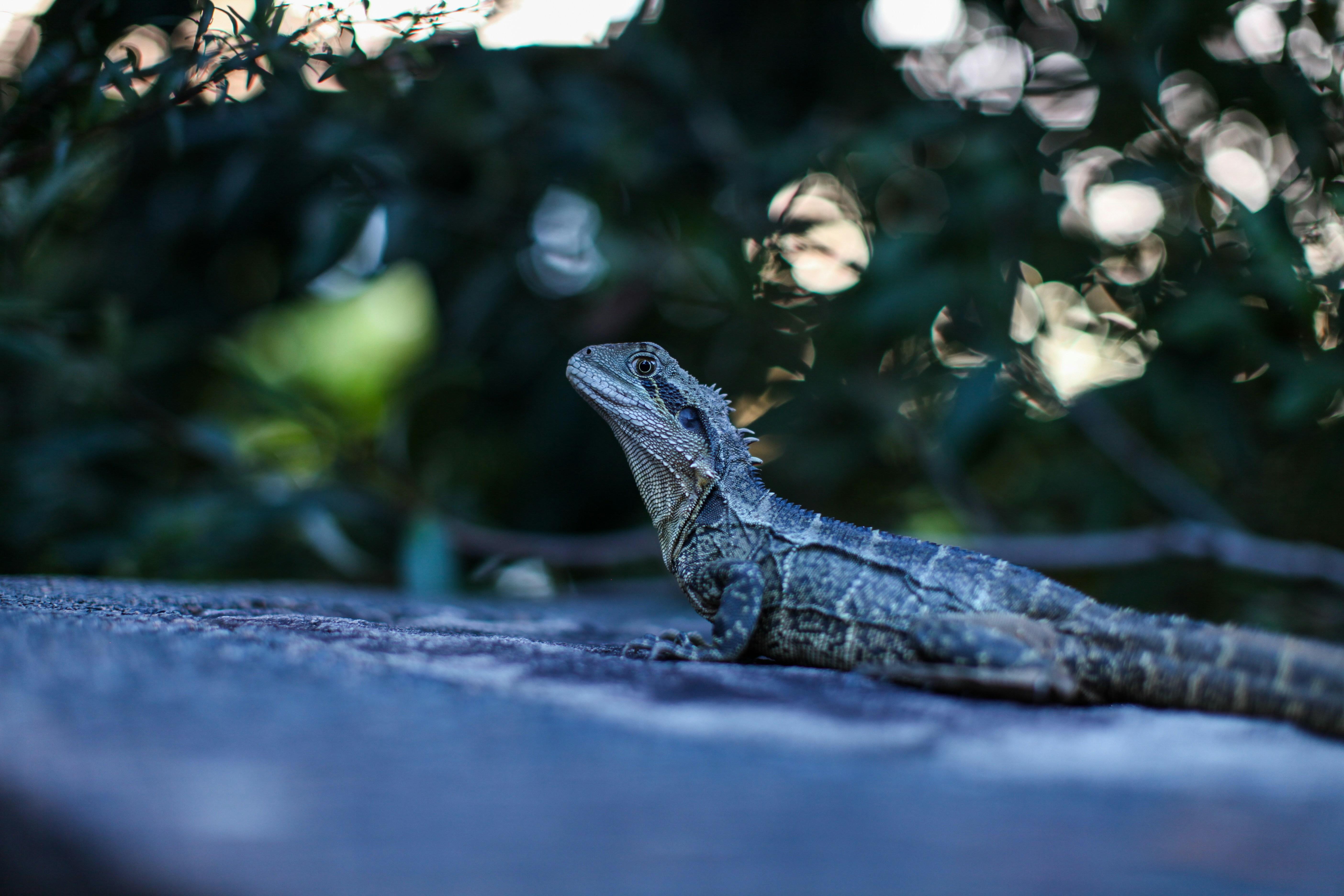 Photo by patricktravelist