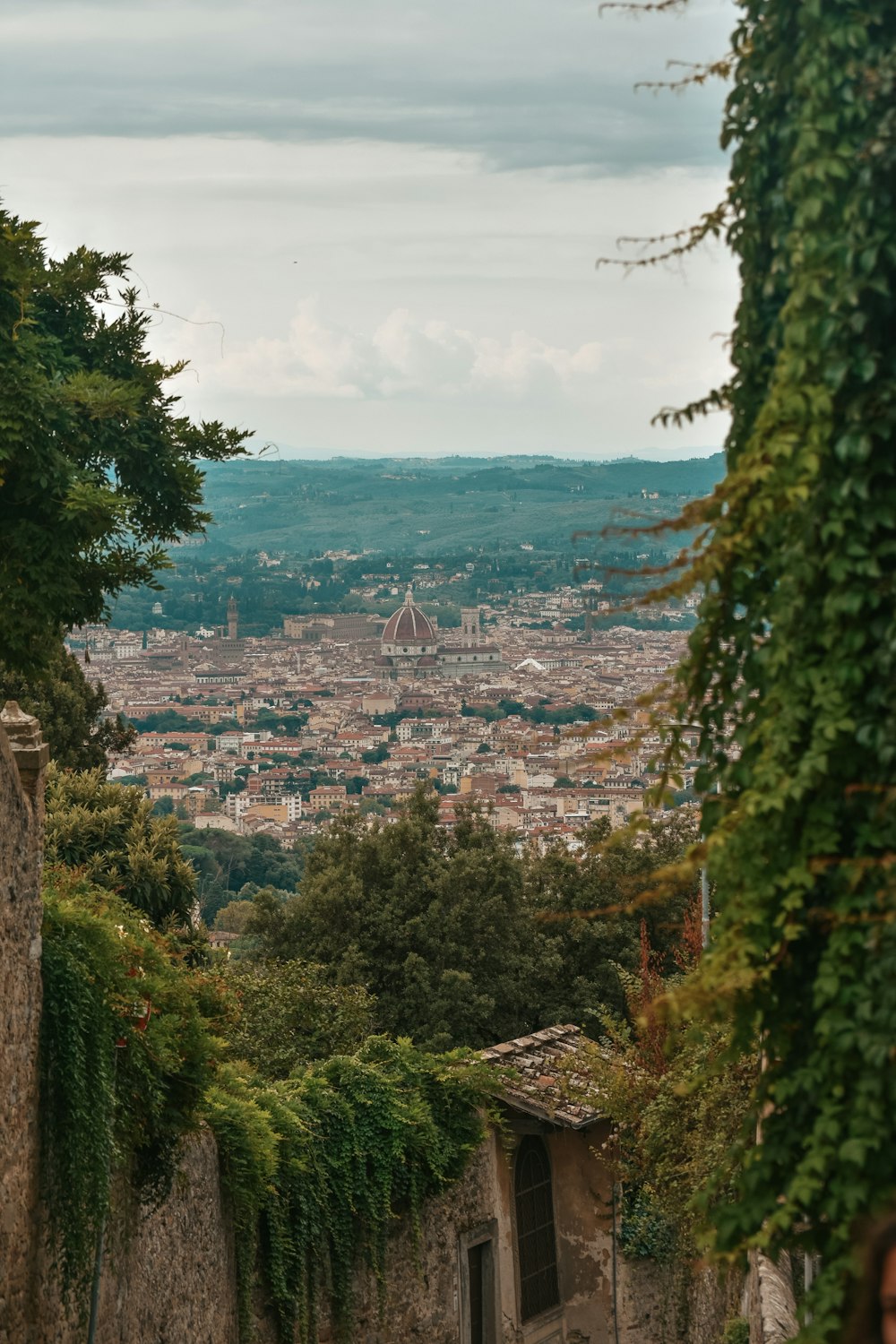 Arbres verts près des bâtiments de la ville pendant la journée