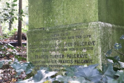 An old, moss-covered gravestone is situated in a wooded area. Inscribed with text, it bears the names Cecil Grenville Milnes Palgrave and Francis Turner Palgrave. Surrounding foliage includes green leaves and branches, adding to the atmosphere of age and solemnity.