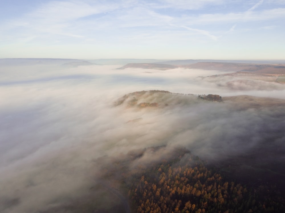 an aerial view of a forest covered in fog