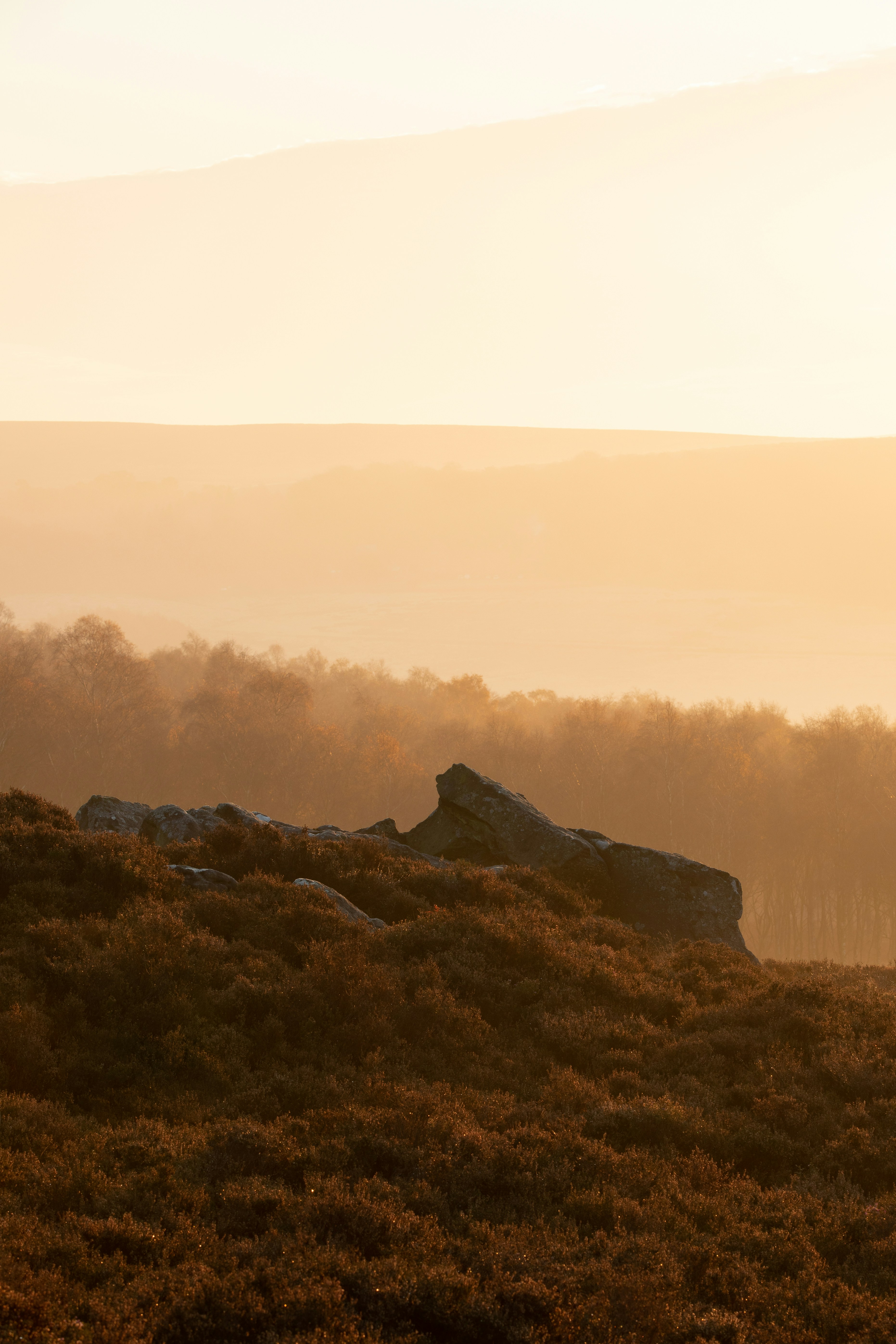 Photo by benofthenorth