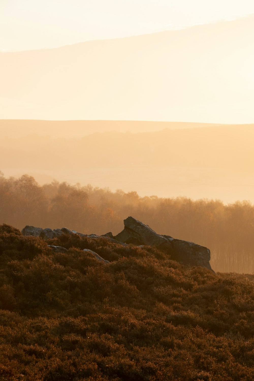 brown rock formation on brown grass field during daytime