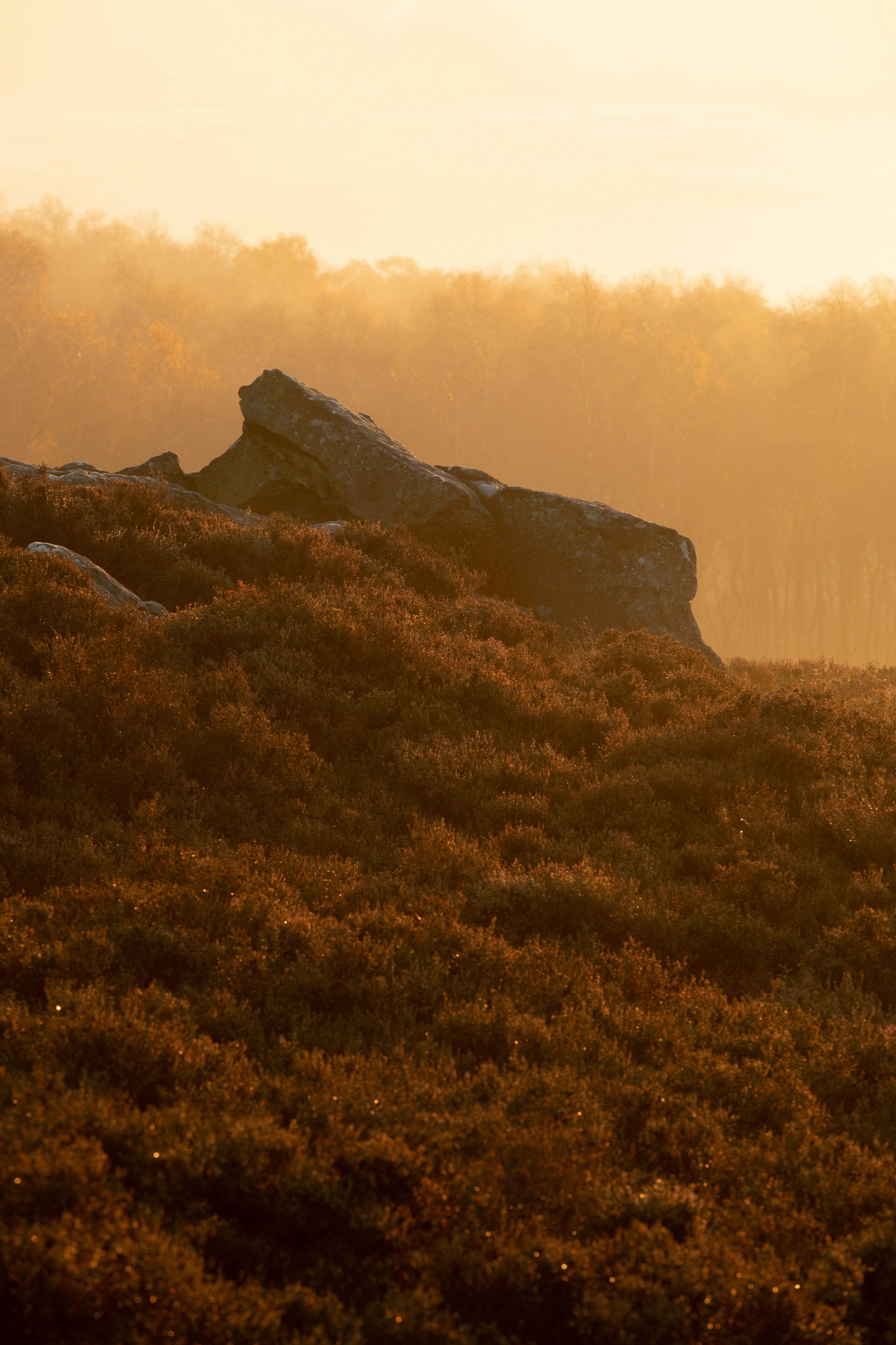 Photo by benofthenorth