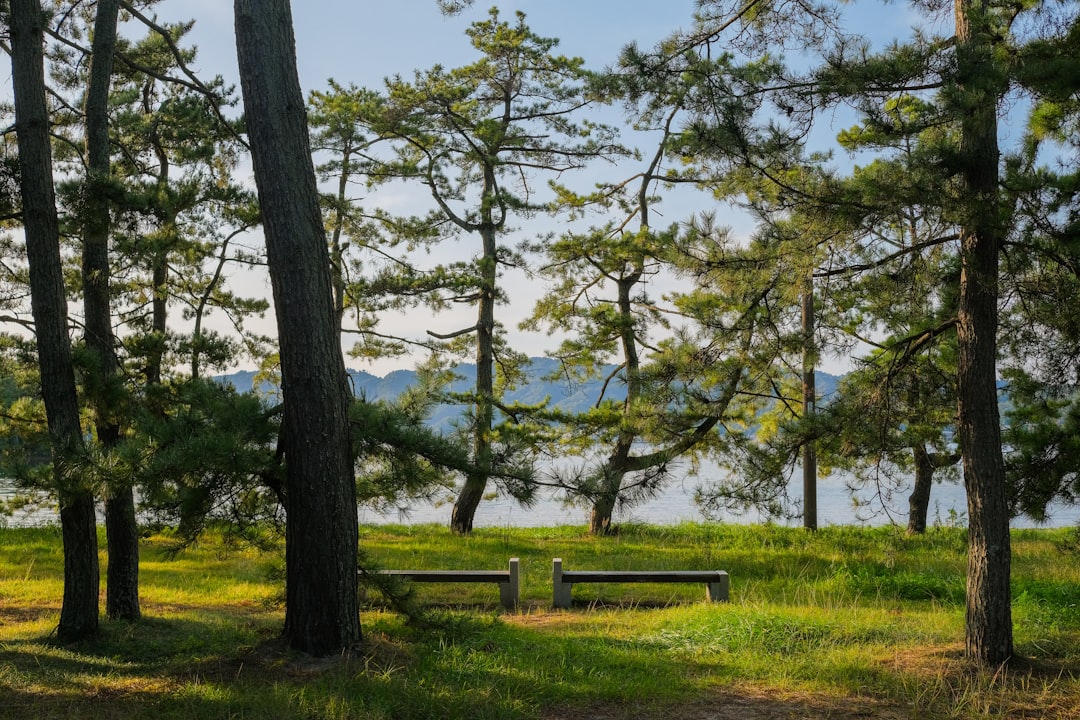 Exploring Japan's Hidden Gems 7 Off-the-Beaten-Path