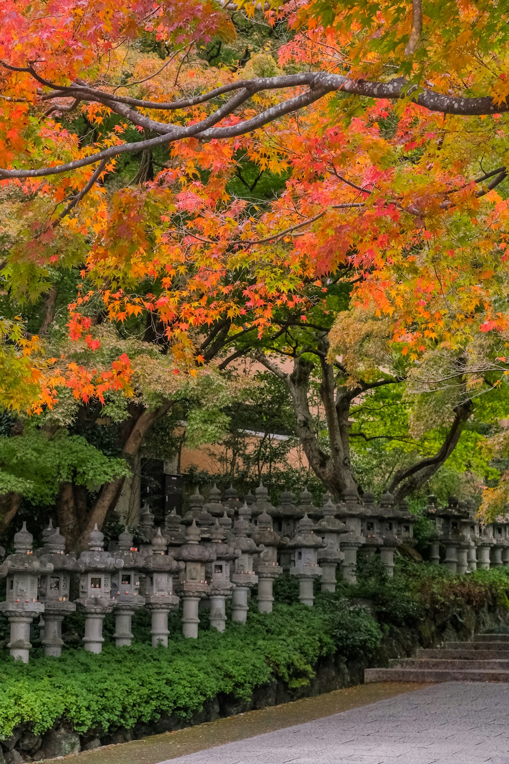 gray concrete fence near green and yellow trees during daytime