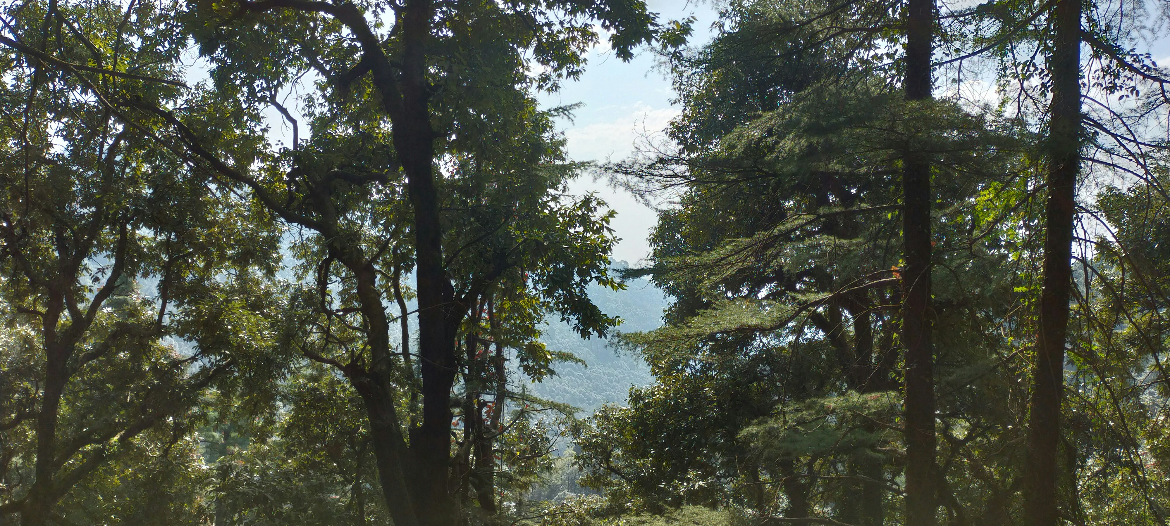 Photo by ss_chhaunkar