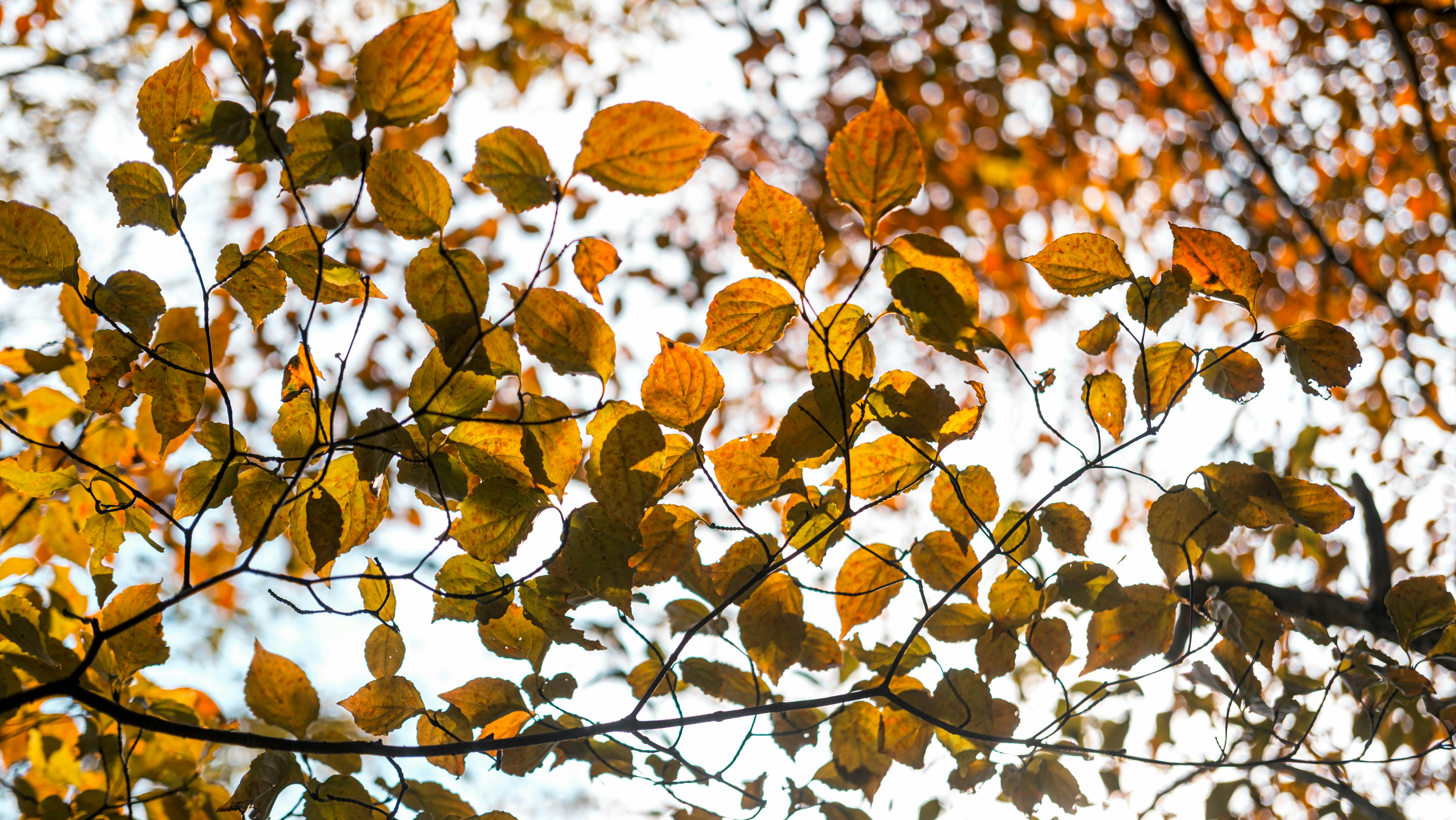 Photo by sorasagano