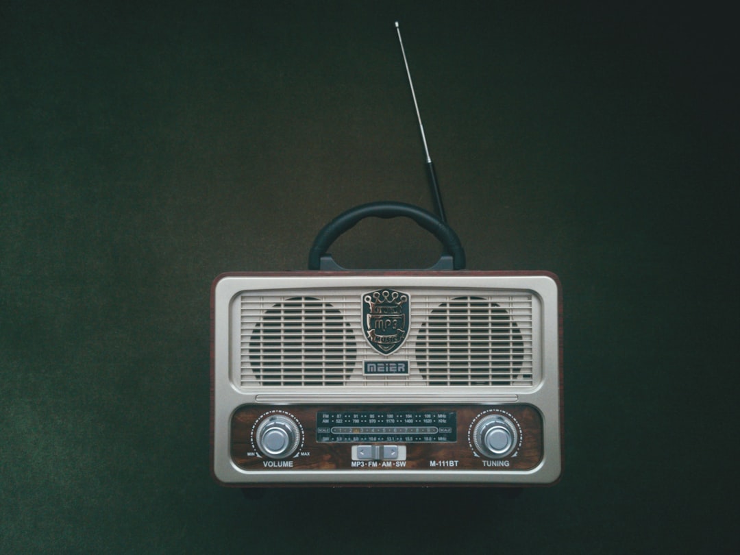 white and brown radio on green surface