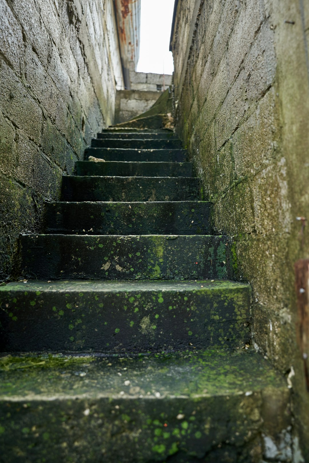 gray concrete staircase with green moss