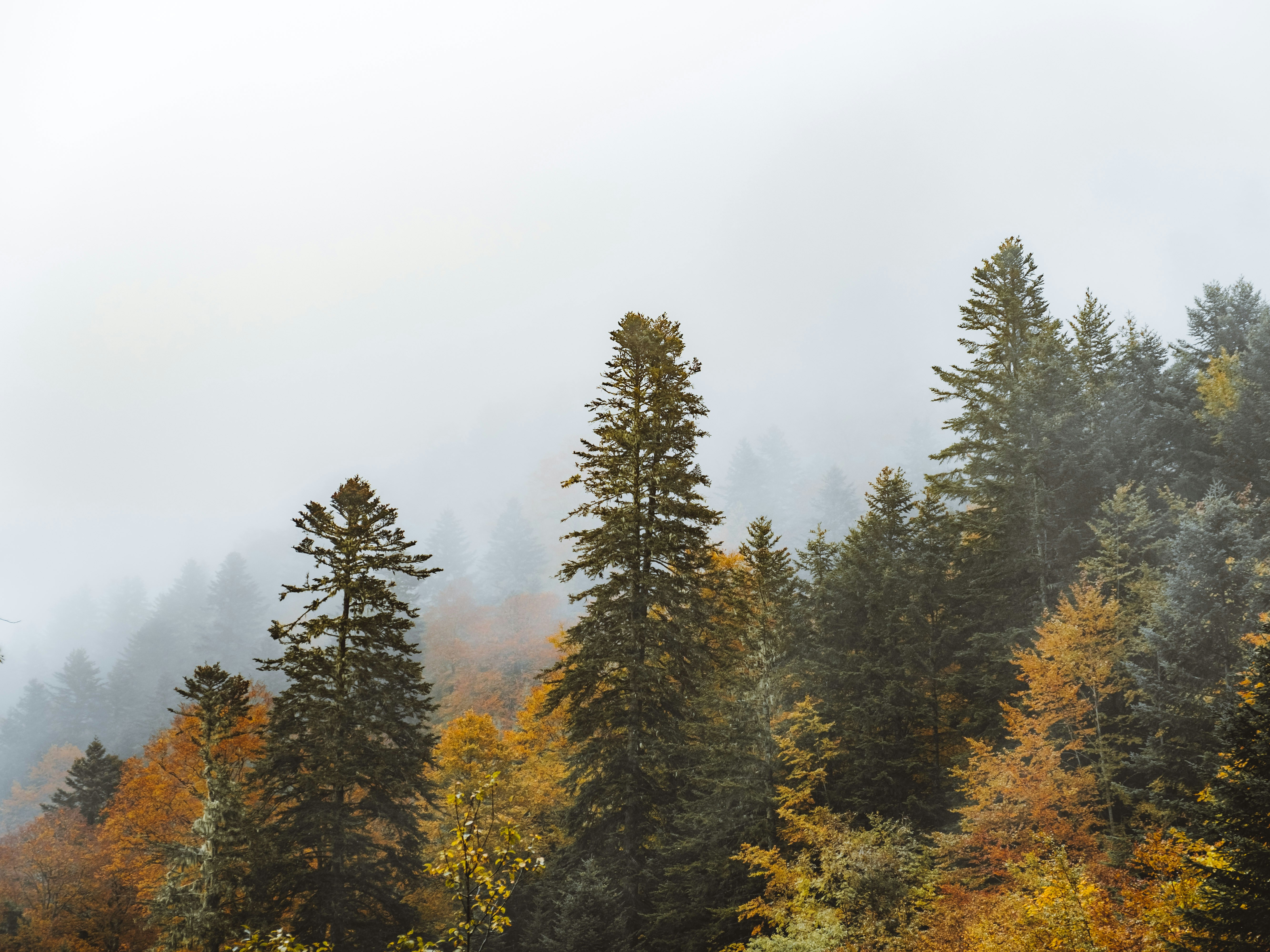 Photo by absolutocaos