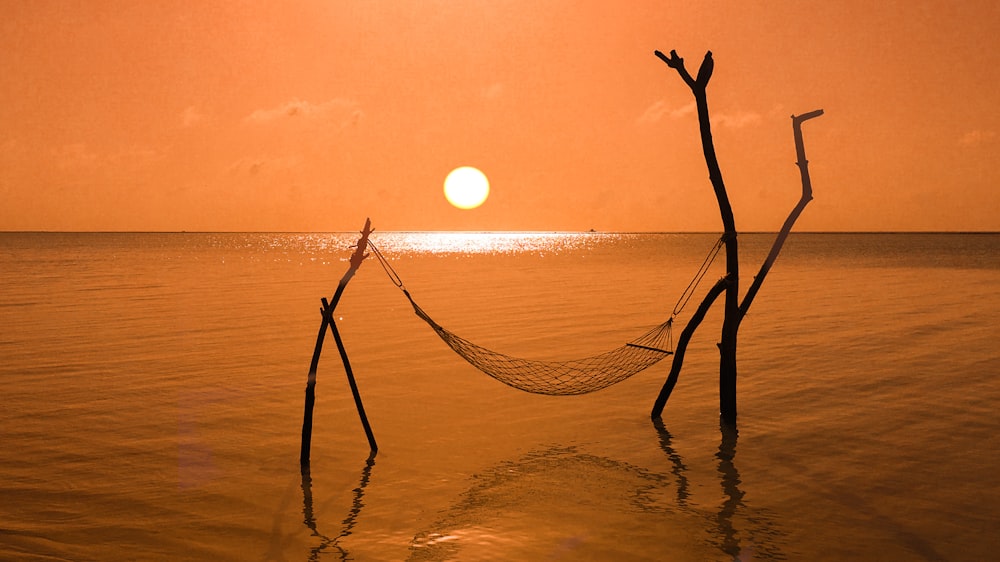 corda marrom no corpo de água durante o pôr do sol