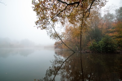 A serene landscape showing a foggy morning over a quiet lake framed by autumn trees.