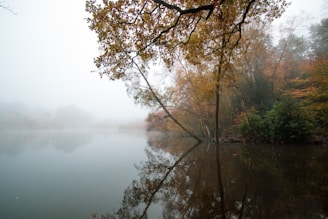 A serene landscape showing a foggy morning over a quiet lake framed by autumn trees.