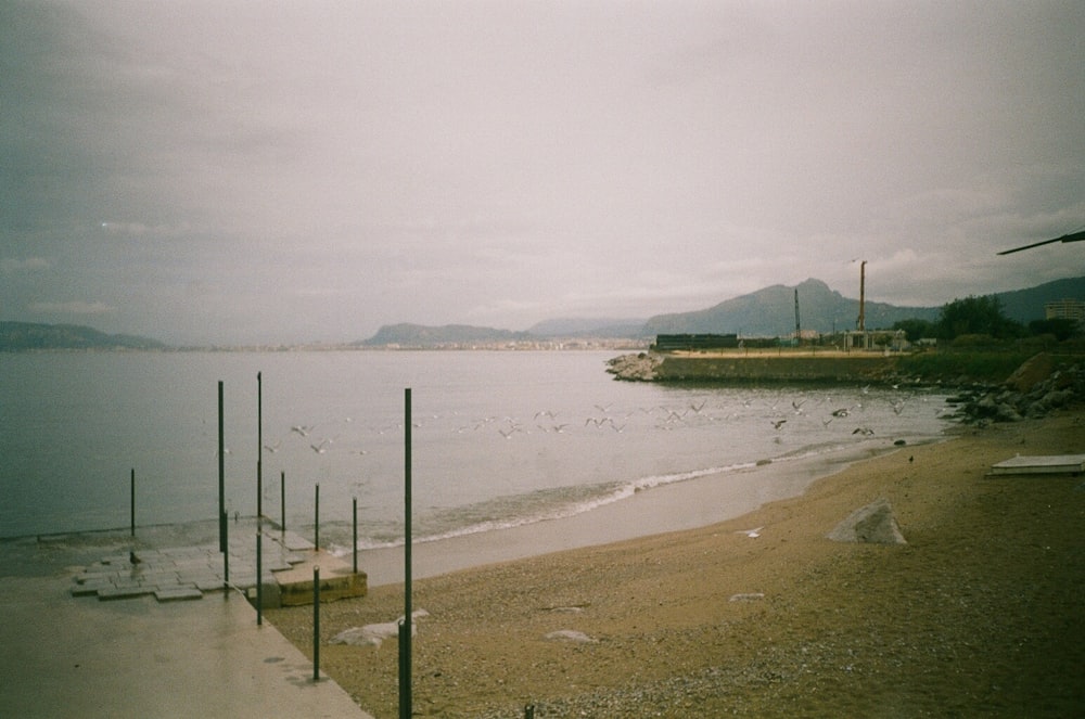 Poteaux en métal noir sur le bord de mer pendant la journée