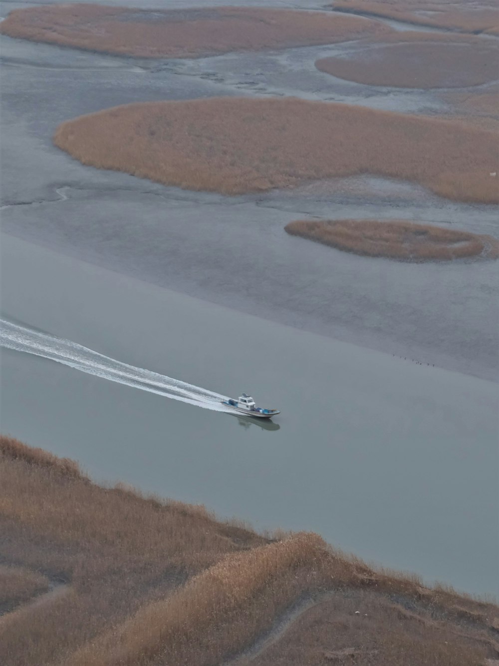 aereo bianco e blu sullo specchio d'acqua durante il giorno