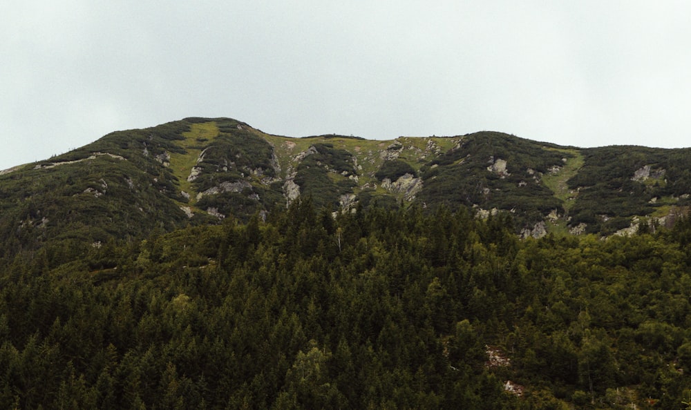 Montaña cubierta de hierba verde bajo el cielo blanco durante el día