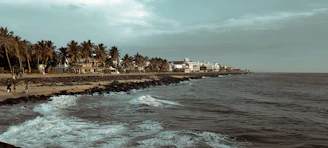 A calm Hawaiian coastline with a cozy island home nestled among palm trees at sunset.