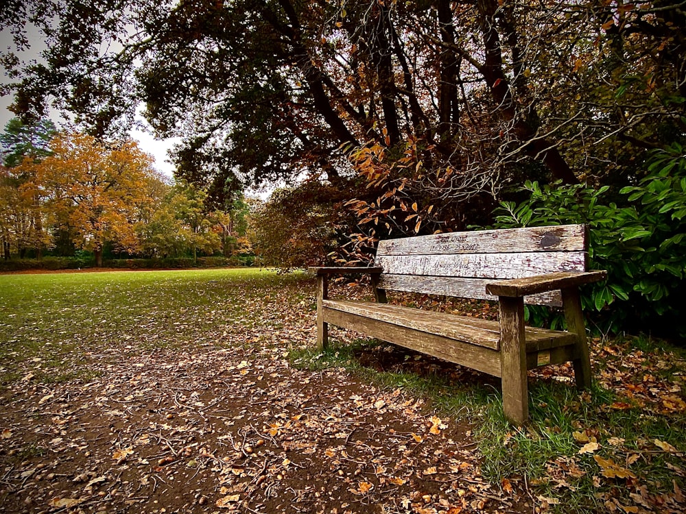 brown wooden bench on green grass field