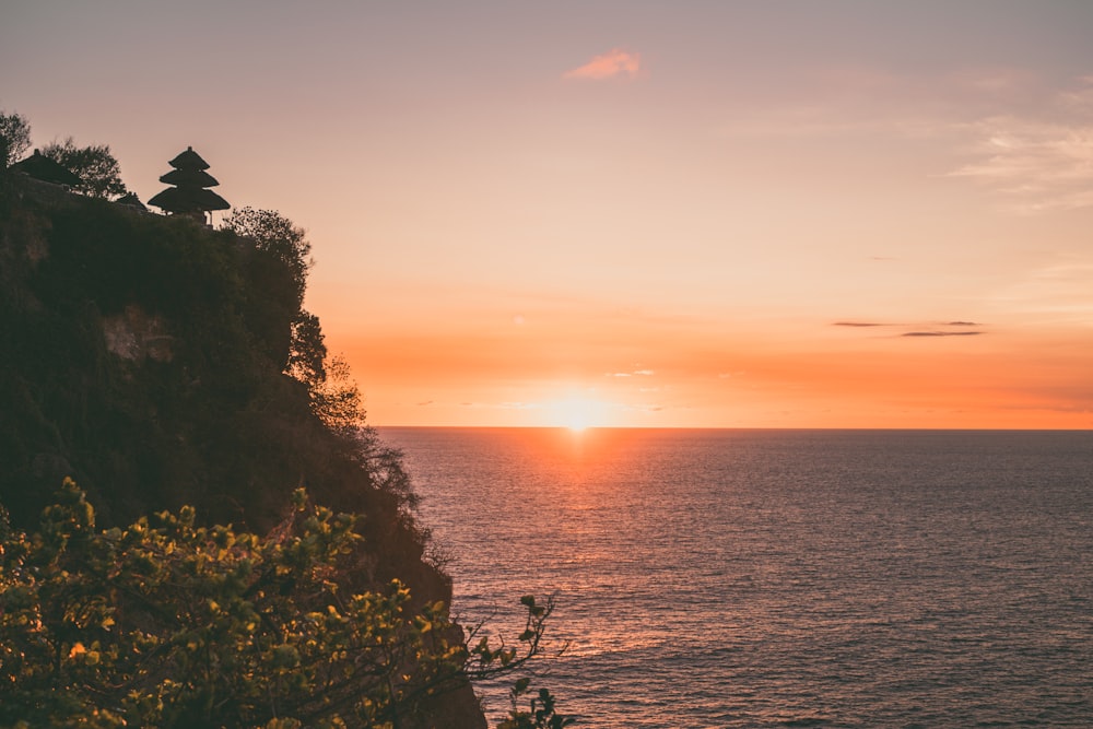 green trees beside body of water during sunset