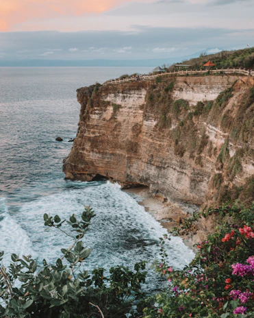 An aerial perspective of a coastal cliff with waves crashing against the rocks, framed by wildflowers.