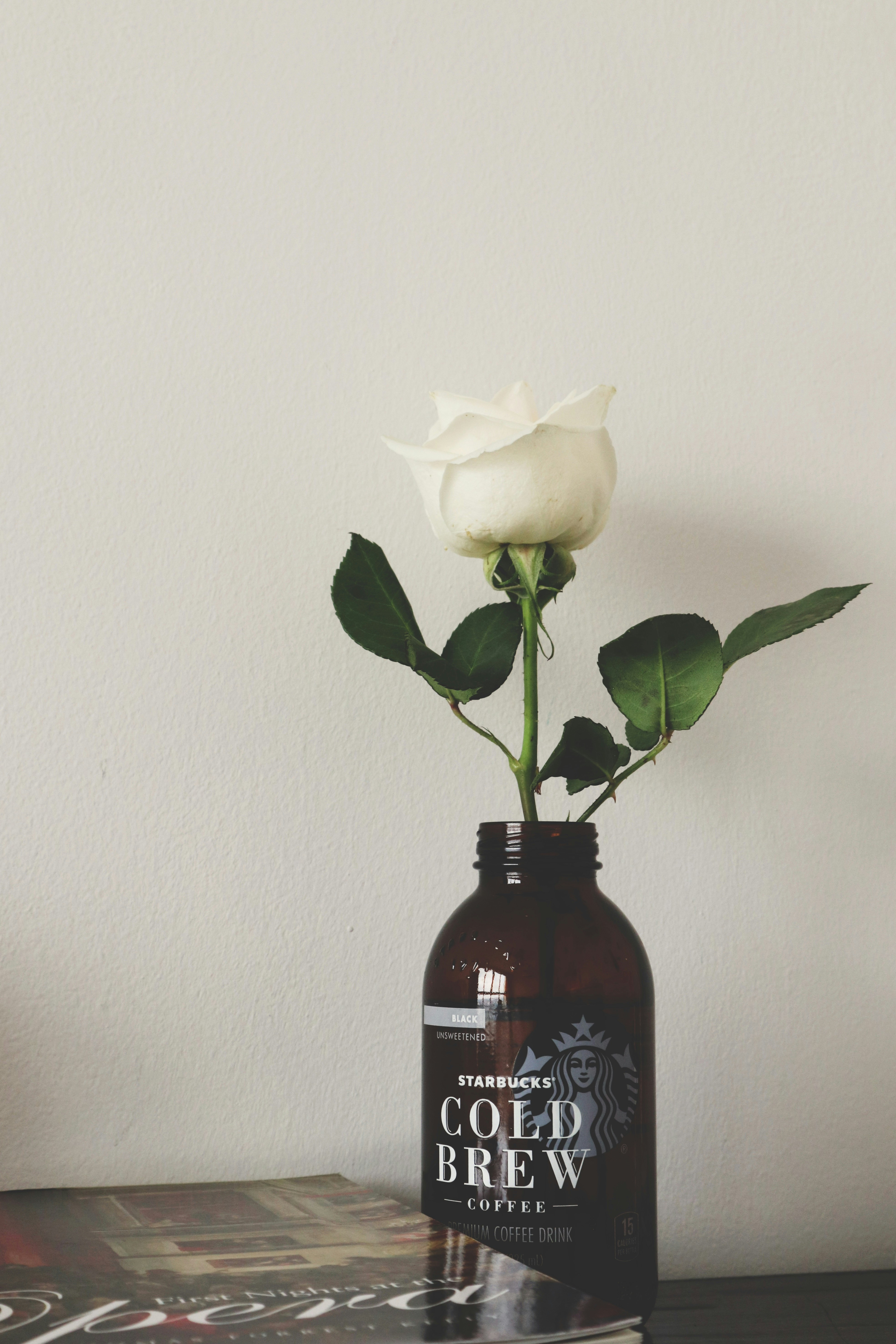 white rose in red bottle