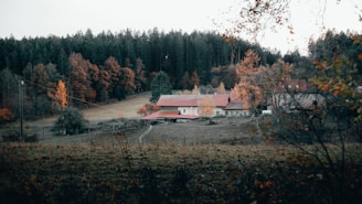 A quaint rural scene features a farmhouse with a red roof nestled in a clearing surrounded by dense forest. Autumn colors are prominent in the trees, with shades of orange and brown. The field in the foreground is grassy with a few visible paths, and the overall setting conveys a sense of tranquility.