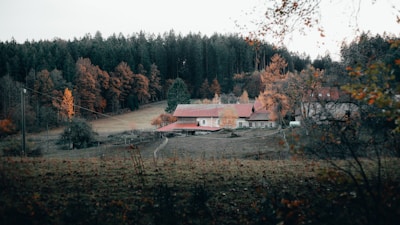 A quaint rural scene features a farmhouse with a red roof nestled in a clearing surrounded by dense forest. Autumn colors are prominent in the trees, with shades of orange and brown. The field in the foreground is grassy with a few visible paths, and the overall setting conveys a sense of tranquility.