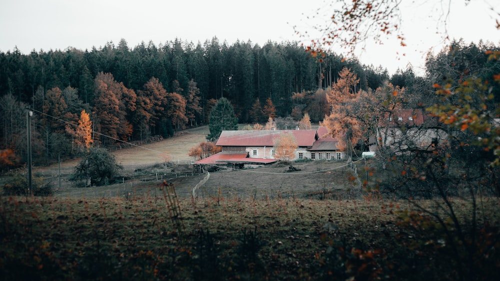 brown and white house near green trees during daytime