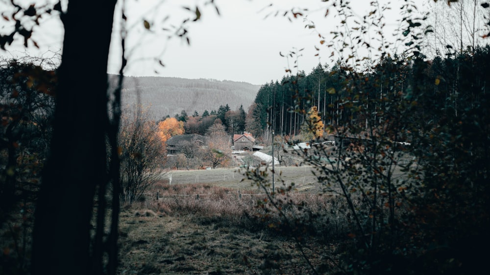 Maison blanche et brune près d’arbres verts pendant la journée