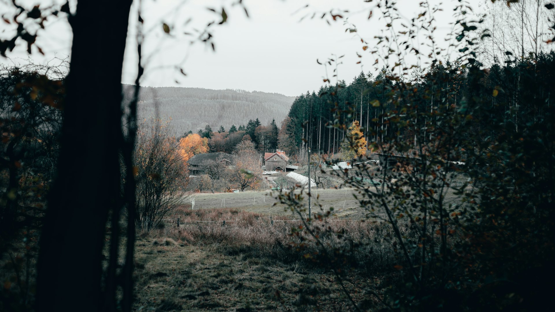 Landschaft rund um Musterstadt