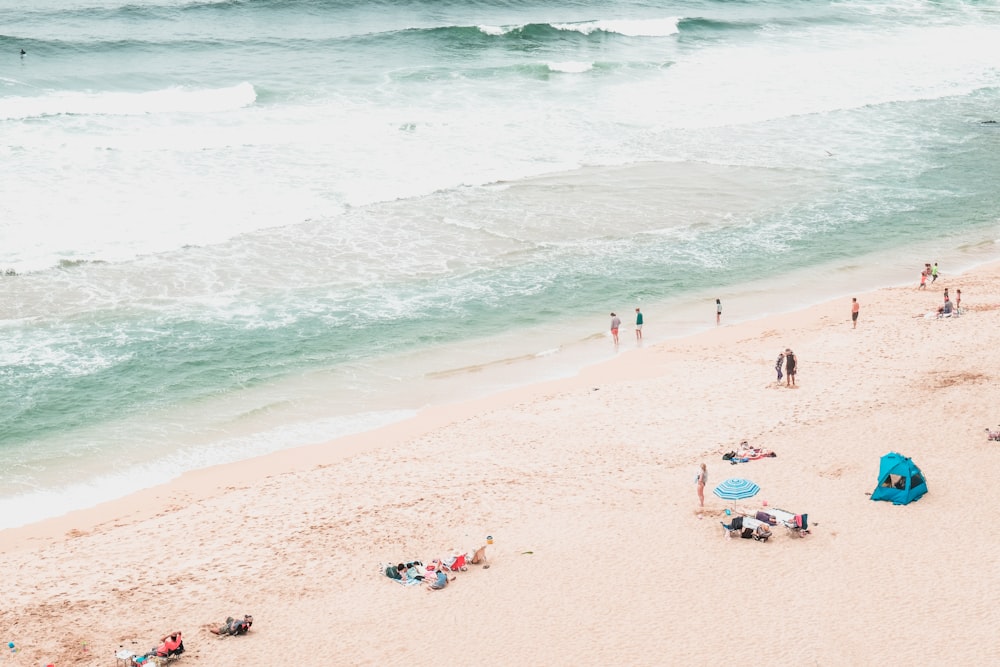 people on beach during daytime