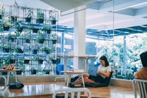 A cozy interior setting with a large vertical garden featuring potted plants arranged in a grid near a glass window. A young woman is seated on the floor, focused on her laptop, creating a serene environment surrounded by greenery. Modern furniture is scattered around, including tables and chairs, and a few red apples are placed on the table in the foreground.
