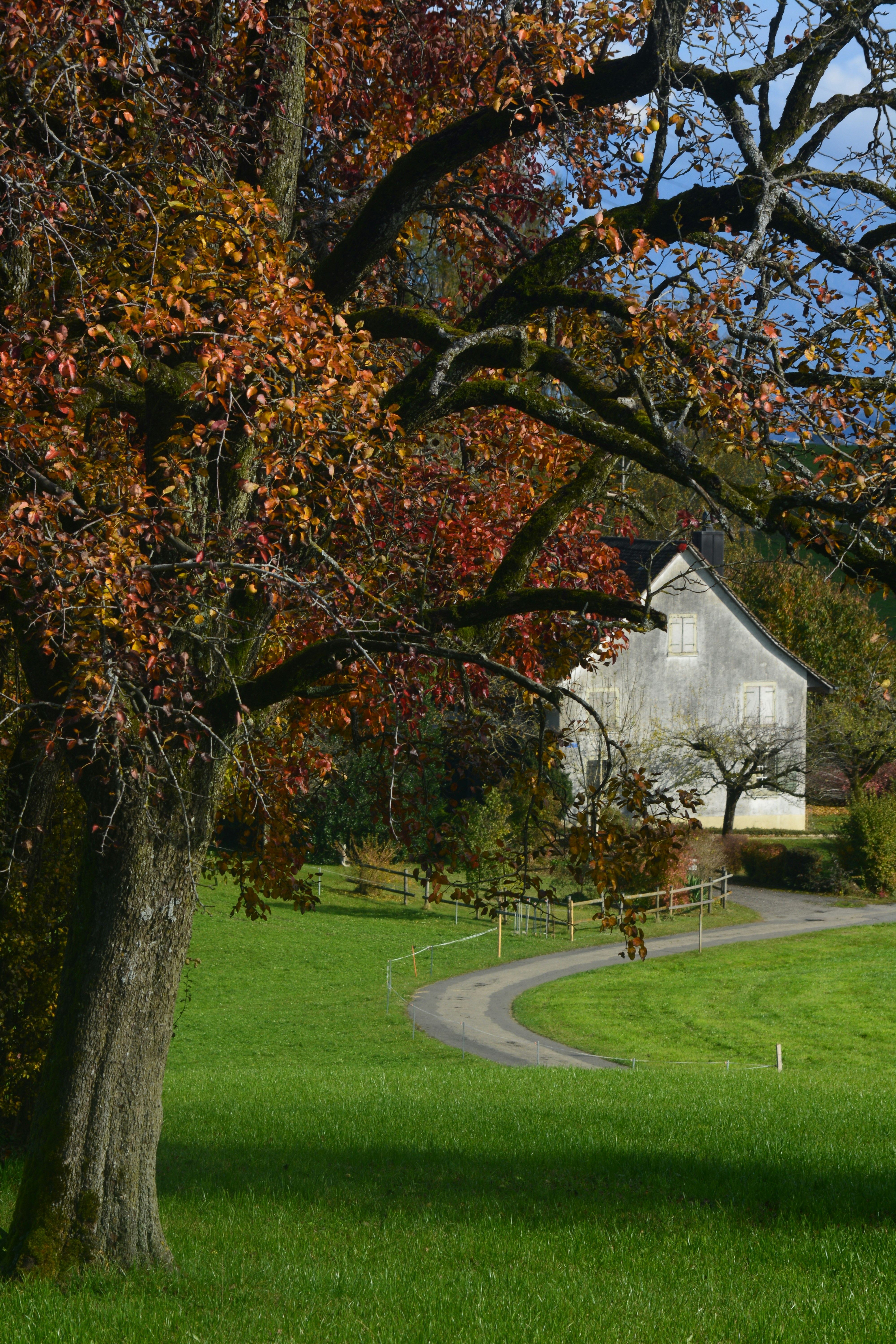 Photo by pedrino5_official