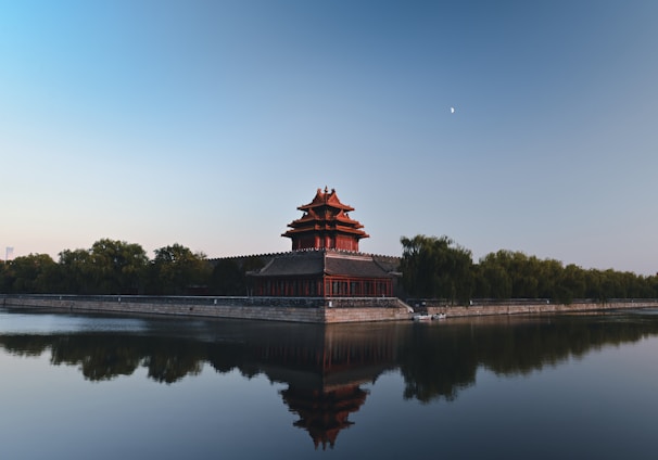 brown and black temple near body of water during daytime