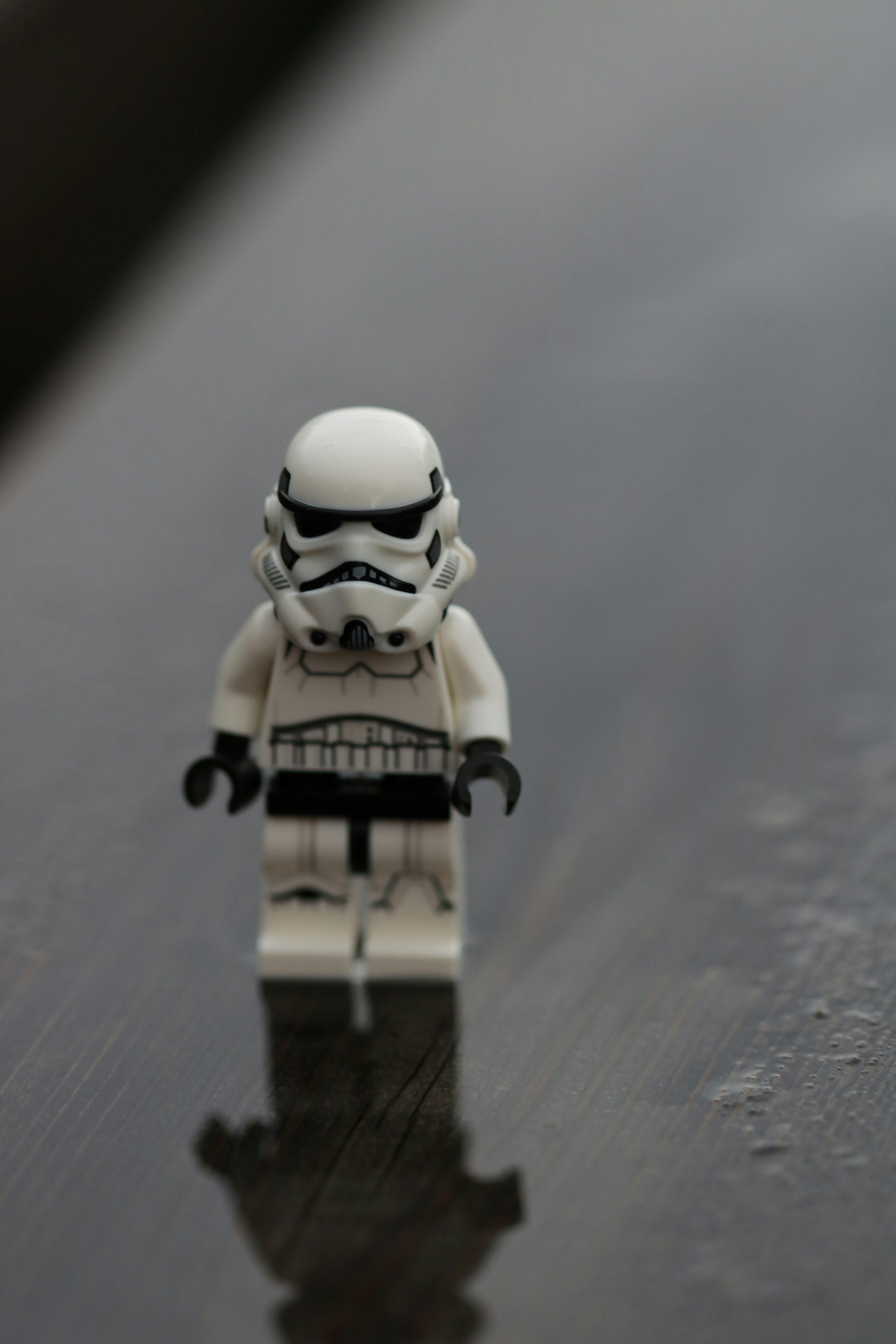 Photo by 19neunundsechzig