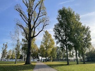 A serene park within Asthara Skyfront City with families enjoying the greenery under soft sunlight.