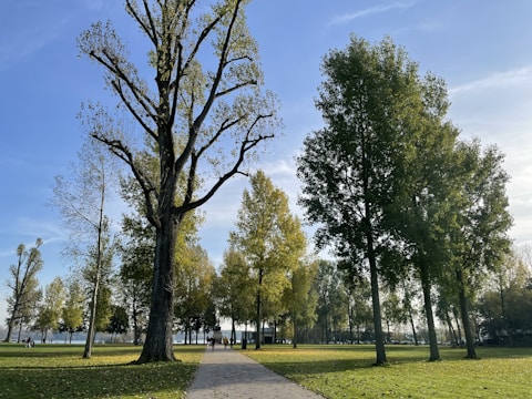 A serene park within Asthara Skyfront City with families enjoying the greenery under soft sunlight.