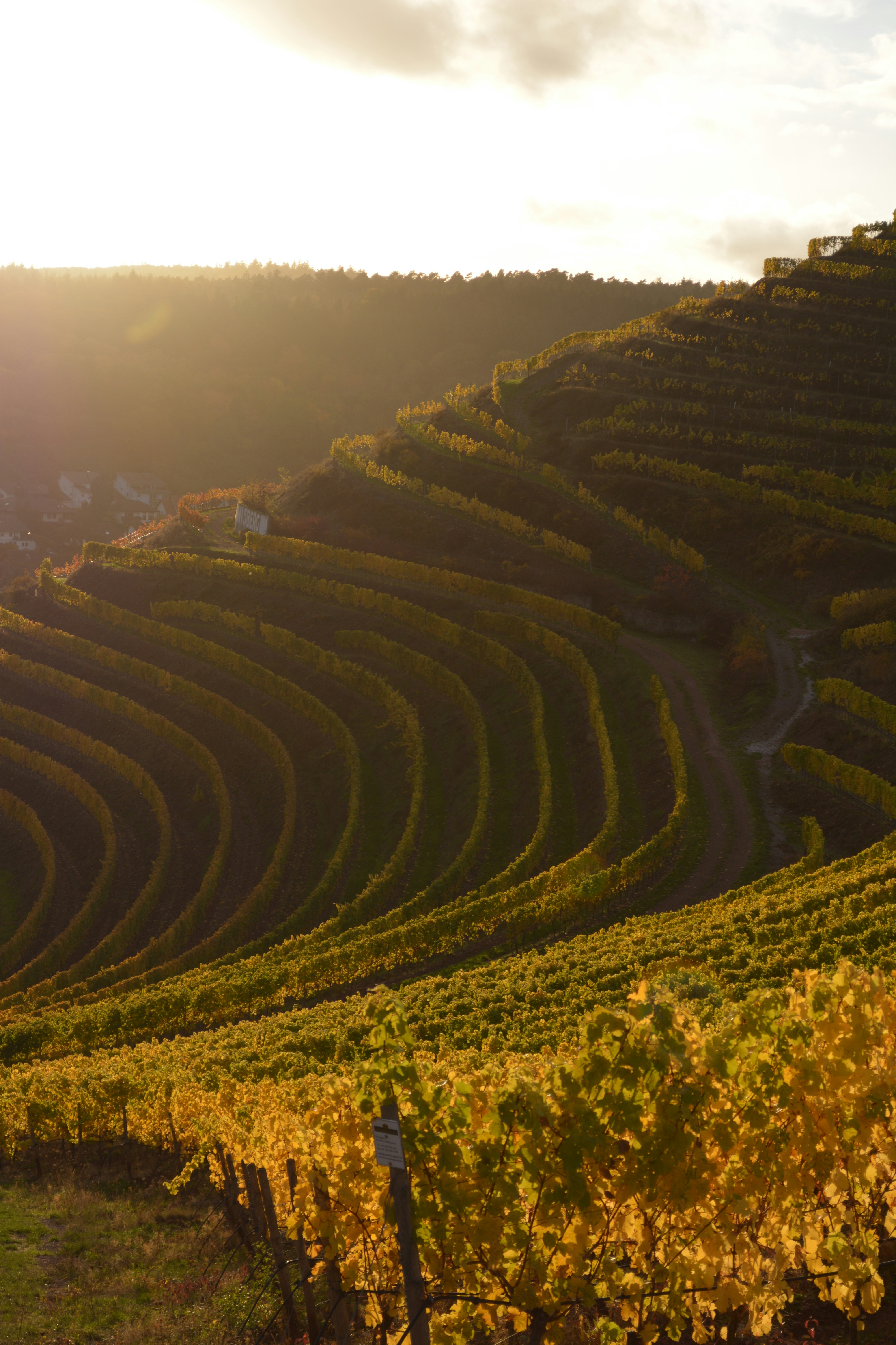 Photo by michael_ender