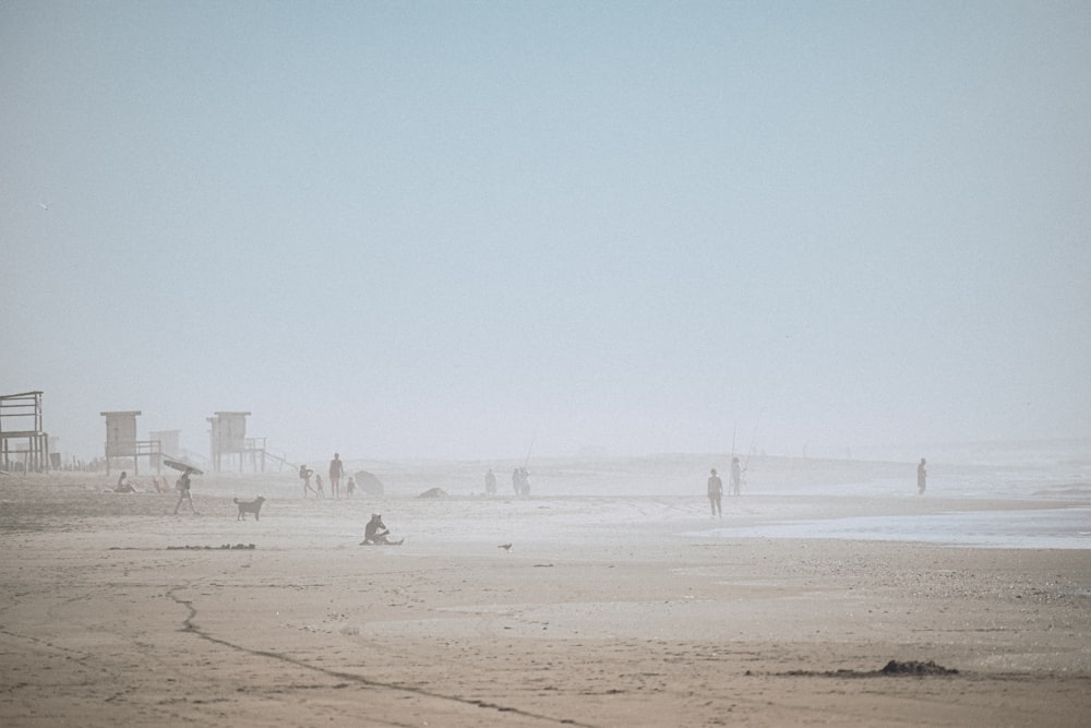 persone che camminano sulla spiaggia durante il giorno