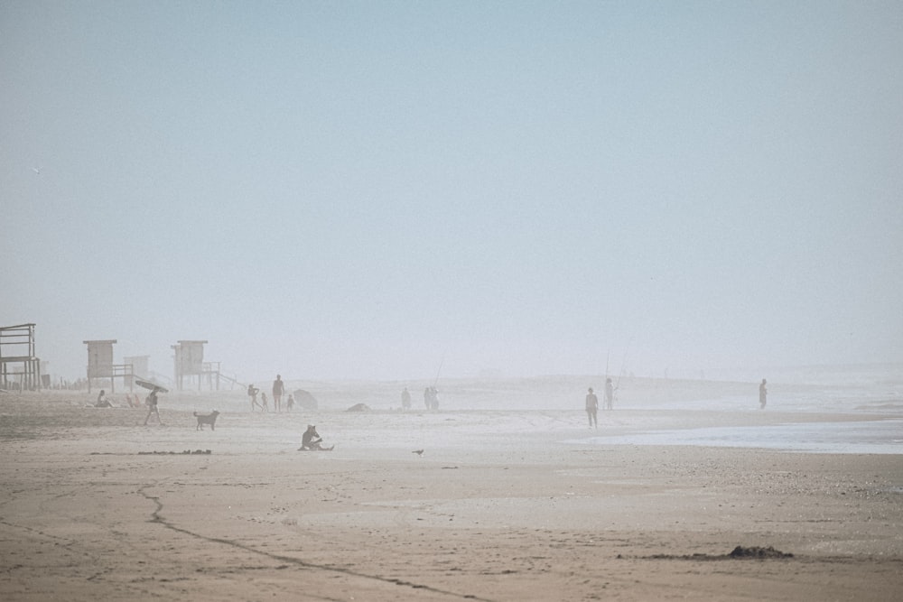 people walking on beach during daytime