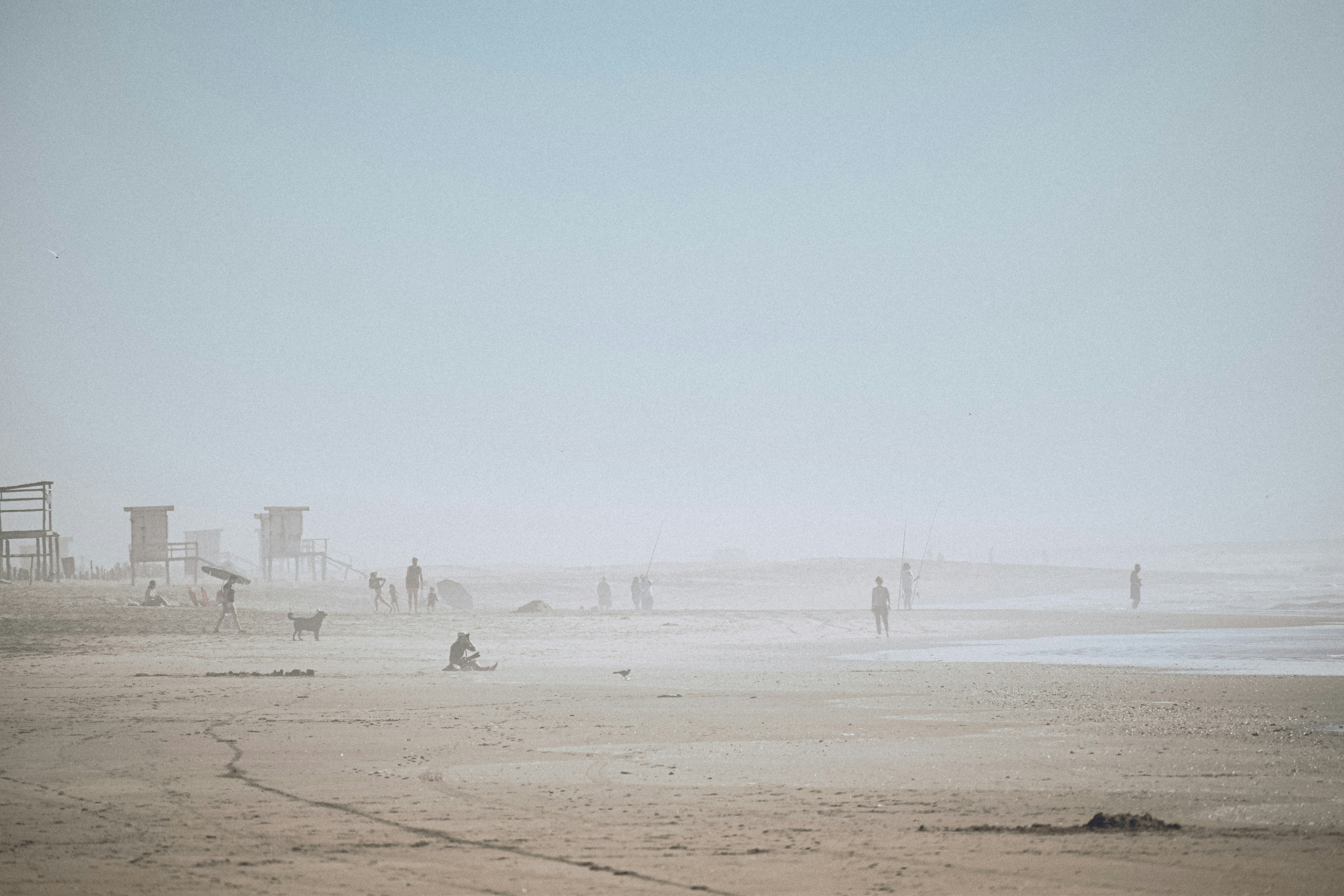 people walking on beach during daytime