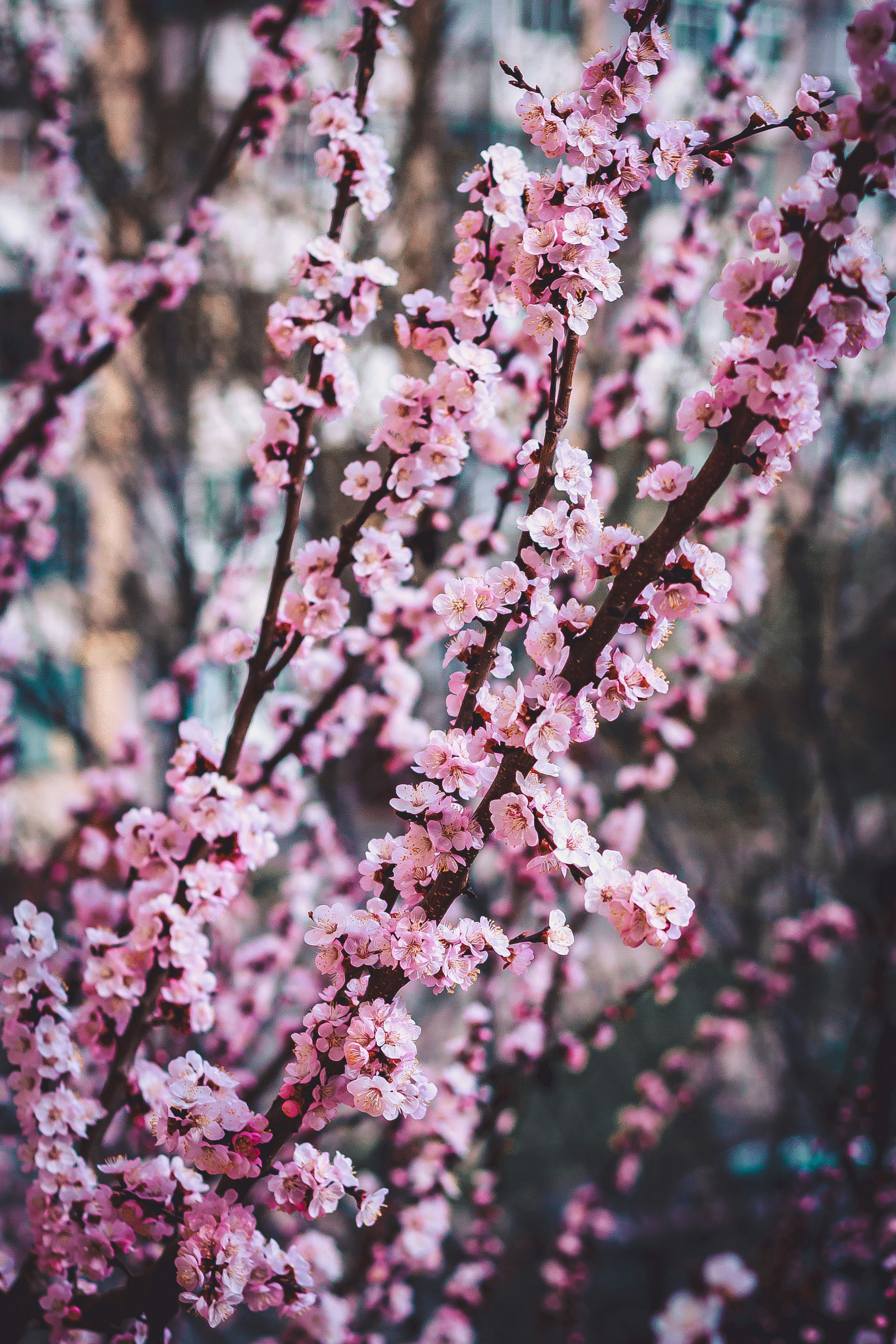 Photo by alexrybin