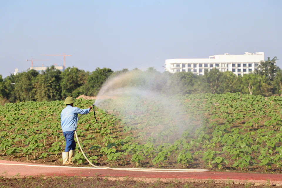 Fungicida agrícola de uso restringido