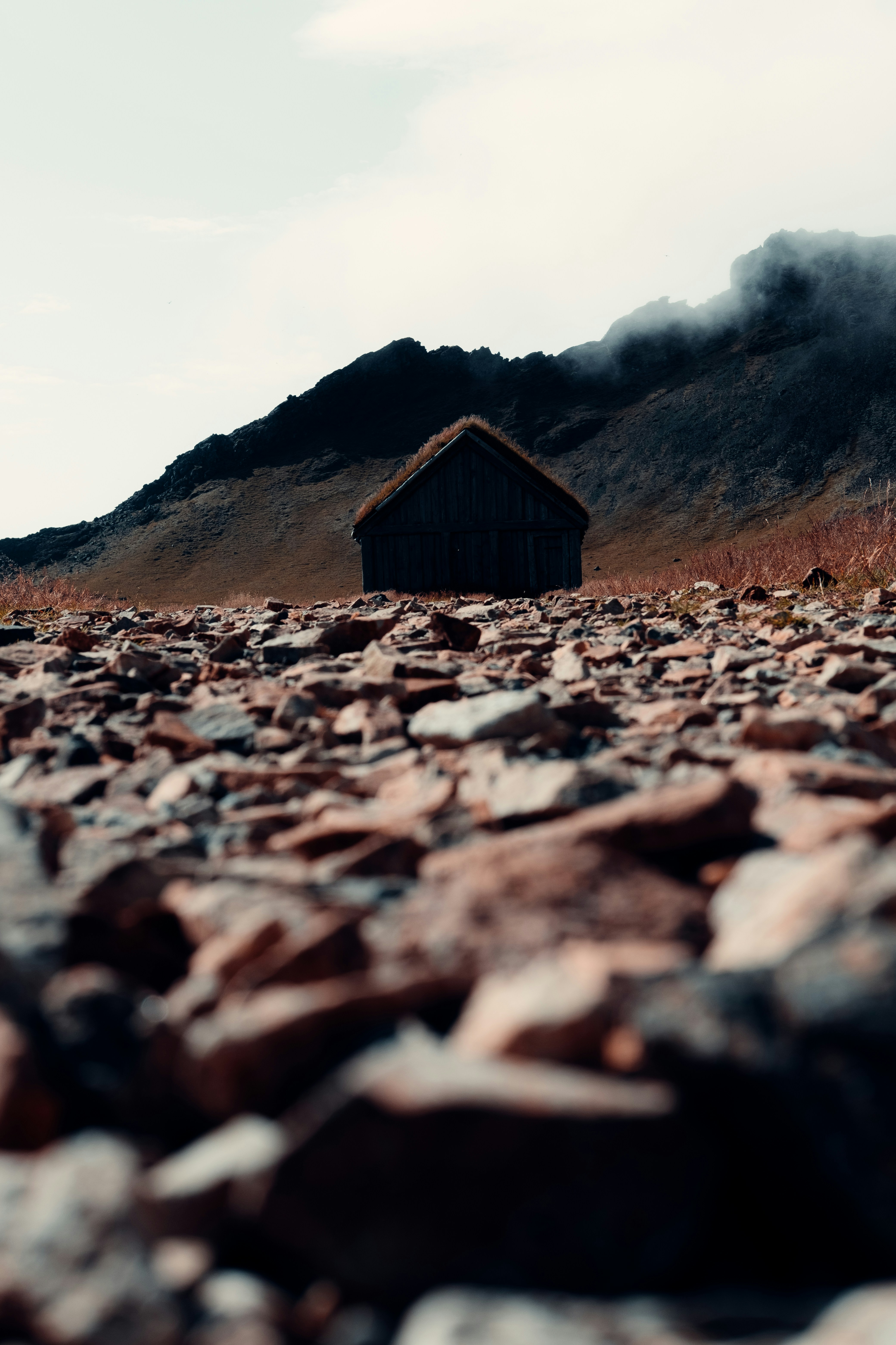 Photo by bechir