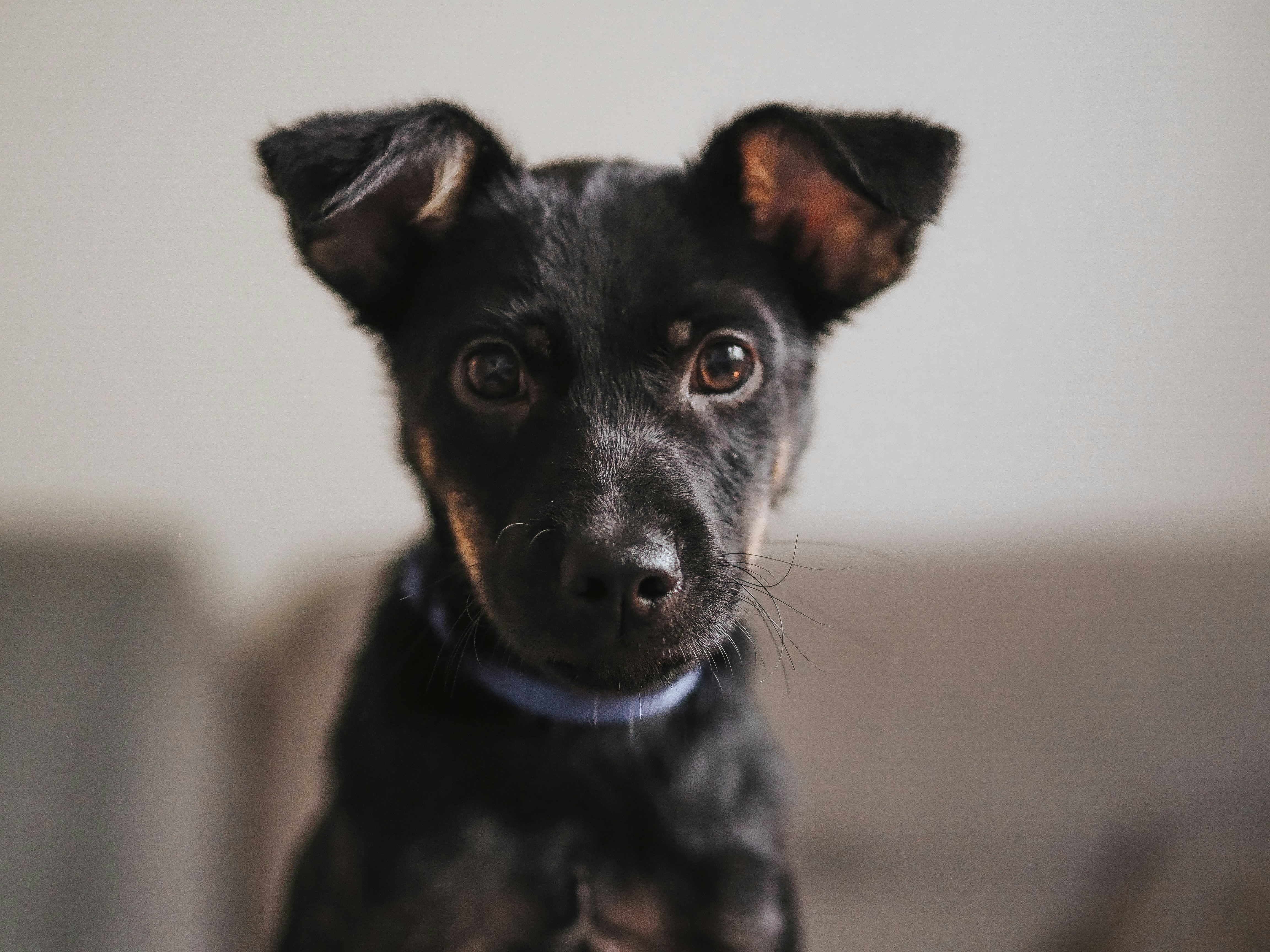 Photo by veronikajorjobert