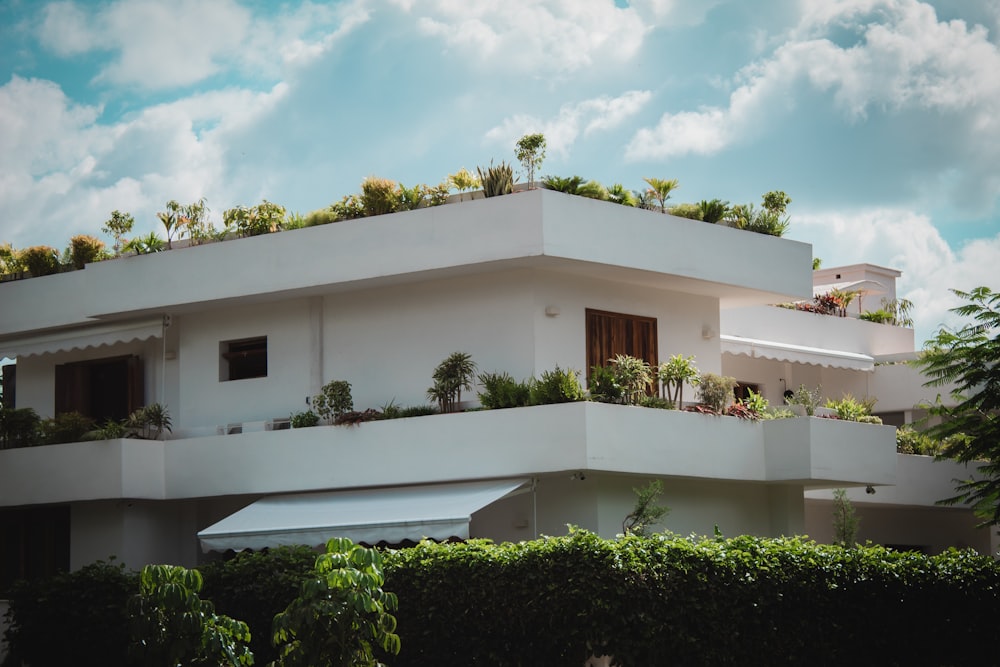 white concrete building near green trees under blue sky during daytime