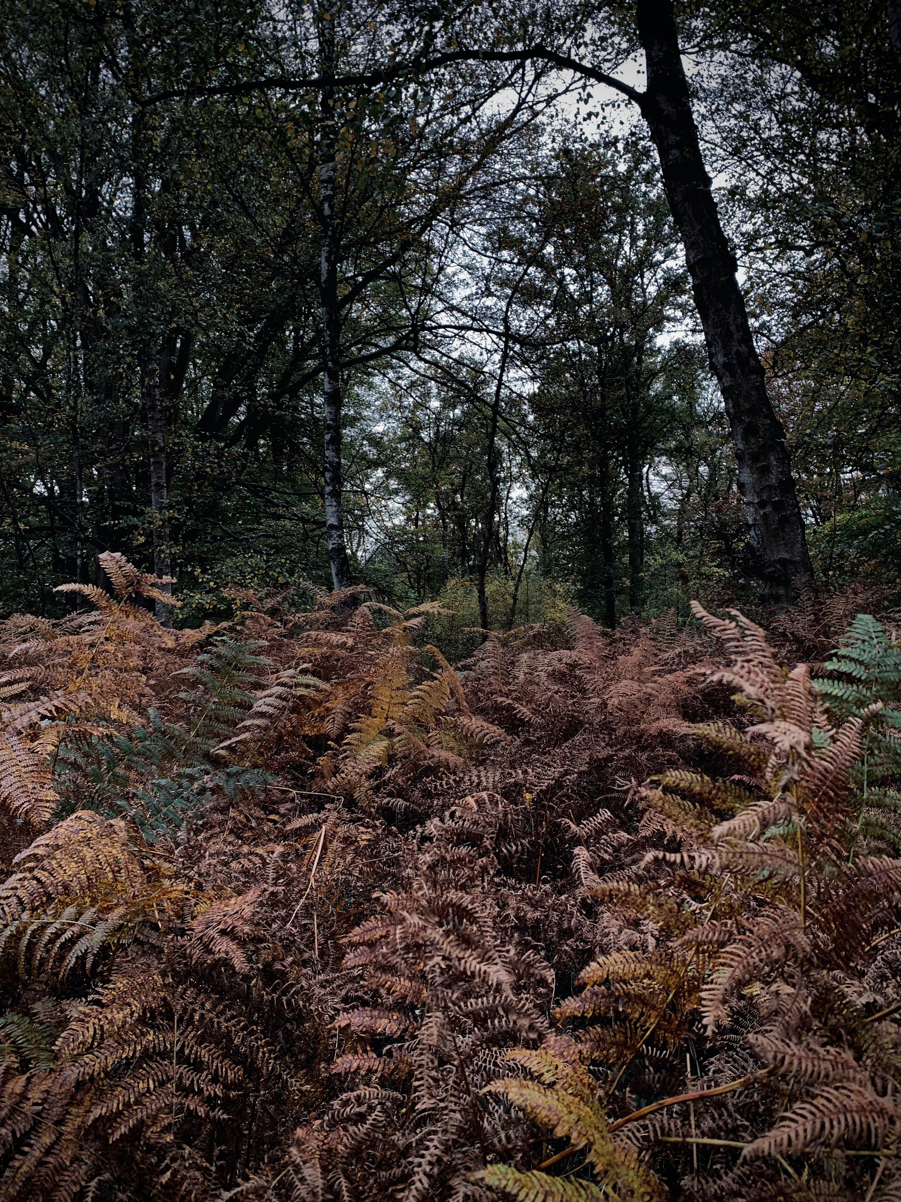 Photo by thomascateau