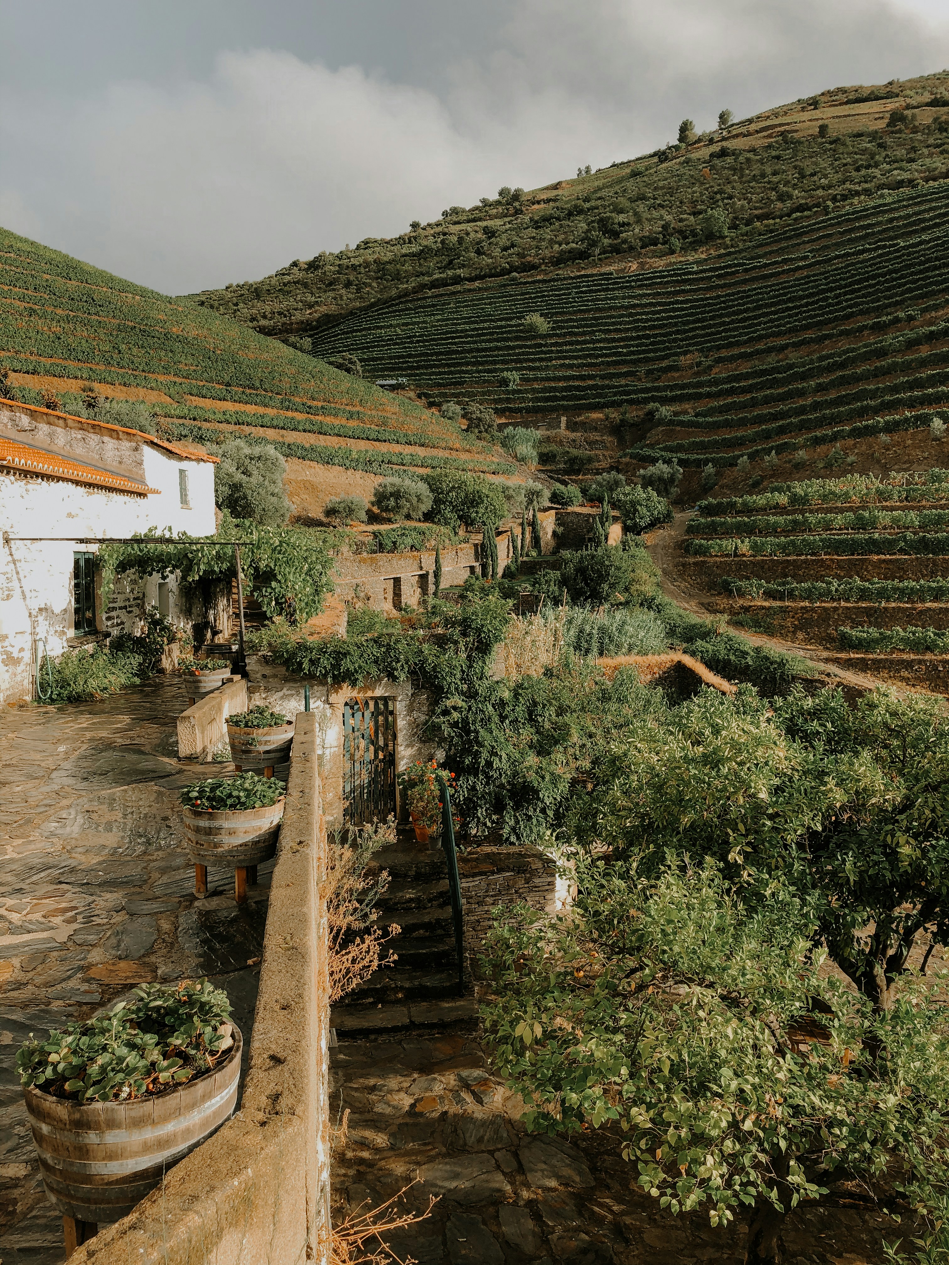 Exploring Portugal: A Journey through Port Wine and Renewable Energy