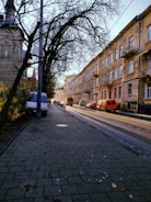 cars parked on sidewalk near bare trees during daytime