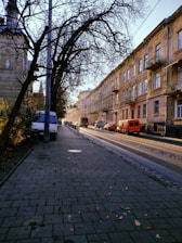 cars parked on sidewalk near bare trees during daytime
